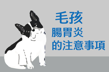 【毛孩腸胃炎的注意事項】陳敏獸醫